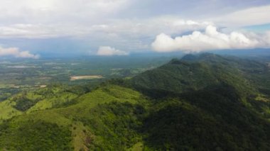 Mountains covered rainforest, trees and blue sky with clouds. Sri Lanka.