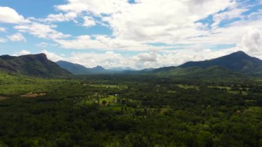 Yağmur ormanları ve tarım arazisi olan dağ yamaçları. Sri Lanka.