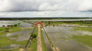 Aerial drone of flooded rice fields in the countryside of Sri Lanka.