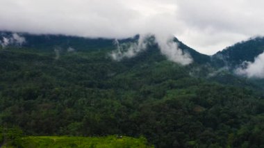 Mountain landscape: Mountain slopes covered with rainforest and jungle View from above.Sri Lanka.