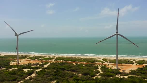 Kıyı Şeridinde Rüzgar Türbinleri Rüzgar Santrali Mannar Sri Lanka — Stok video
