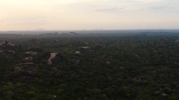 Aerial Drone Sunset Jungle Background Mountains National Park Sri Lanka — Video Stock