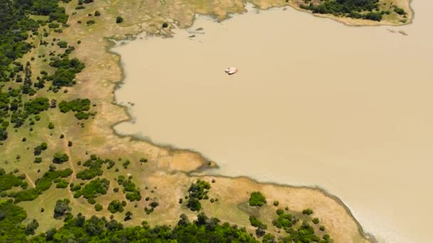 空中无人驾驶的湖泊与野生动物被丛林和热带植被包围 斯里兰卡 — 图库视频影像