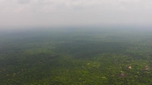 スリランカの緑豊かな熱帯雨林とジャングル — ストック動画