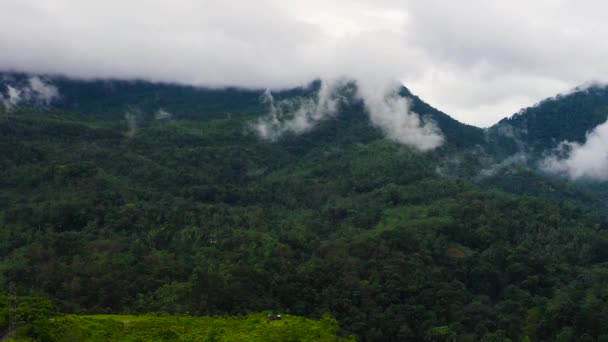 Mountain Landscape Mountain Slopes Covered Rainforest Jungle View Sri Lanka — стоковое видео