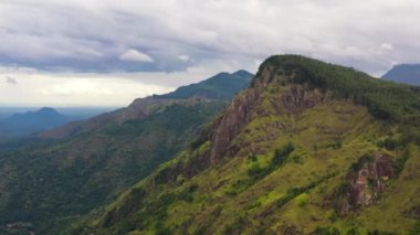 Yeşil yaprakların havadan görünüşü, tropikal bitkiler ve ağaçlar dağlar ve vadiyi kaplar. Ella Rock, Sri Lanka.