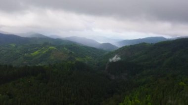 Taze yeşil yapraklar, tropikal bitkiler ve ağaçlar dağları ve vadiyi kaplar. Sri Lanka.