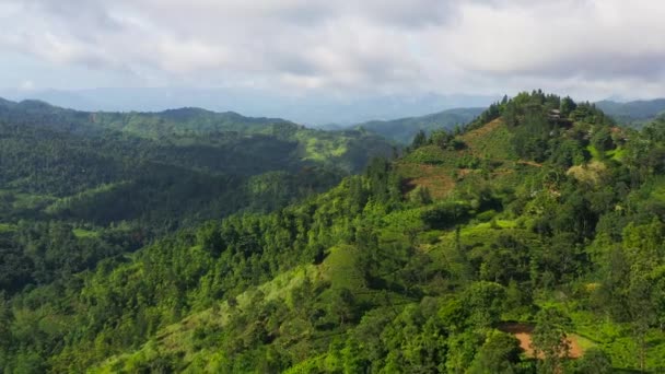 Bergsluttningar Med Teplantager Och Jordbruksmark Sri Lanka — Stockvideo