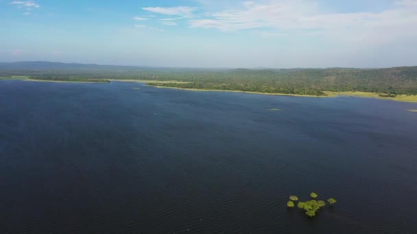 Vista Superior Del Lago Está Rodeado Selva Bosque Paisaje Tropical — Vídeos de Stock