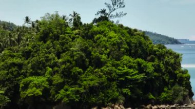 Temiz su ve deniz sörfü olan güzel kumlu bir sahil. Borneo, Malezya.