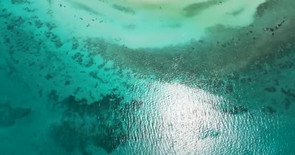 청록색 바닷물 자연적 배경입니다 위에서 바라보는 물결치는 파랗게 빛나는 — 비디오