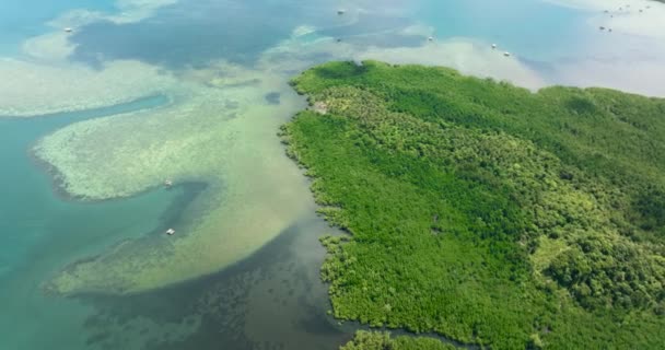 Mangroves Lagune Bleue Sur Une Île Tropicale Paysage Marin Sous — Video