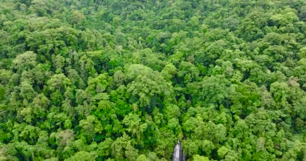 Καταρράκτης Ζούγκλας Ένα Τροπικό Δάσος Που Περιβάλλεται Από Πράσινη Βλάστηση — Αρχείο Βίντεο