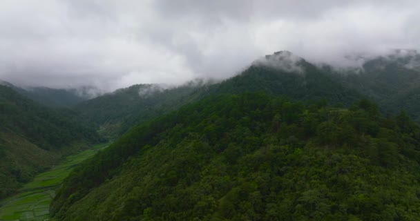 Гори Джунглями Гірській Провінції Філіппіни — стокове відео