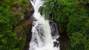 Tropikal bir ormanda şelale. Vernon Dağı, Sri Lanka.