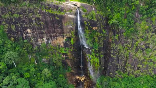 熱帯雨林の美しい滝 熱帯の山のジャングルの中のDiyaluma滝 — ストック動画