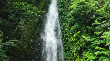 Yağmur ormanı manzaralı bir şelale. Ağır çekim. Pulang-Tubig Şelalesi Zencileri, Filipinler.