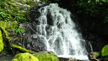 Ormanlarda tropik bir şelale. Ağır çekim. Malisbog Şelalesi. Zenciler, Filipinler.