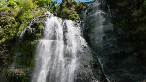 Luchtdrone Van Waterval Tussen Tropische Jungle Met Groene Planten Langzame — Stockvideo