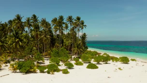 Paisaje Tropical Pequeña Isla Con Hermosa Playa Palmeras Con Vista — Vídeo de stock