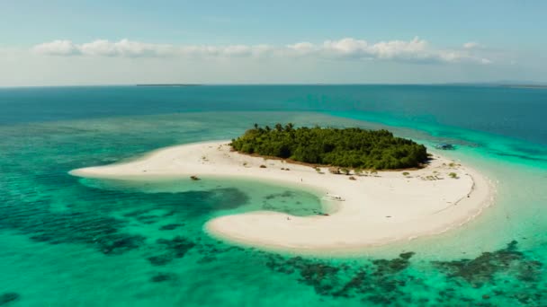 Veduta Aerea Della Spiaggia Sabbiosa Isola Tropicale Con Palme Atollo — Video Stock