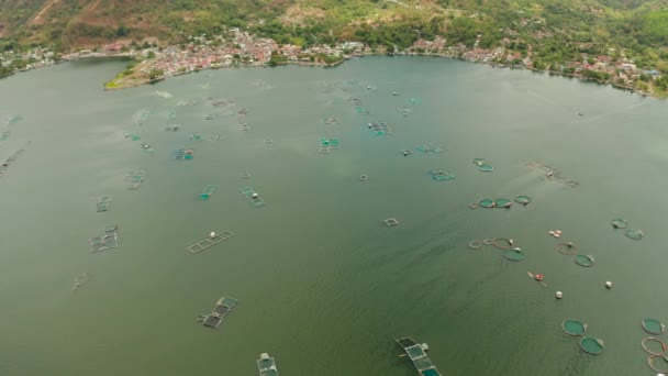 Luftaufnahme Einer Fischfarm Mit Käfigen Für Fische Und Garnelen See — Stockvideo