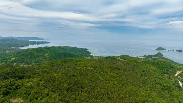 Top view of coastline of the island with jungle and beaches. Negros, Philippines
