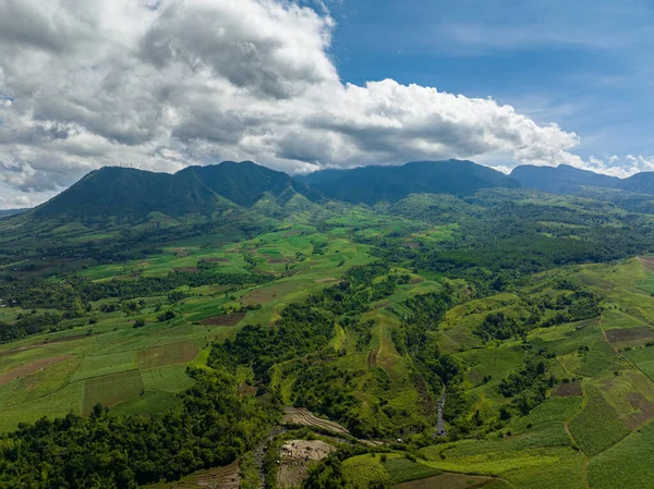 Kanyonlu tropik dağ sırası ve yağmur ormanlı dağ yamaçları. Filipinler.