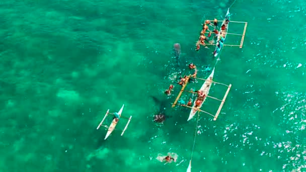 Lugar Para Practicar Snorkel Buceo Avistamiento Tiburones Ballena Vista Superior — Vídeo de stock