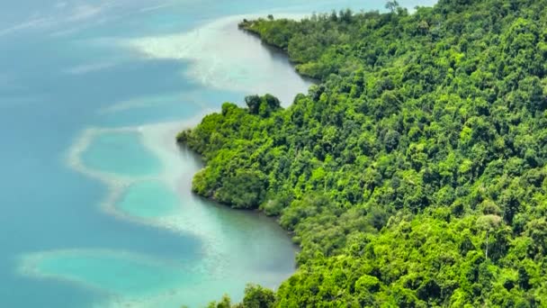 Luchtdrone Van Tropische Lagune Met Turquoise Water Kustlijn Met Tropische — Stockvideo