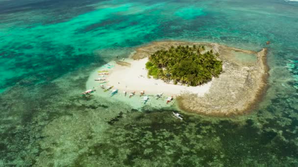Isla Tropical Con Playa Arena Palmeras Por Atolón Con Arrecife — Vídeo de stock