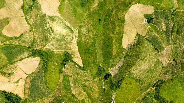 Landbouwlandschap Met Landbouwgrond Suikerrietplantages Negros Filipijnen — Stockfoto