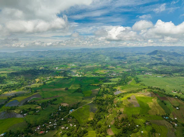 Aerial drone of agriculture in the highlands. Farmland and rice fields. Negros, Philippines