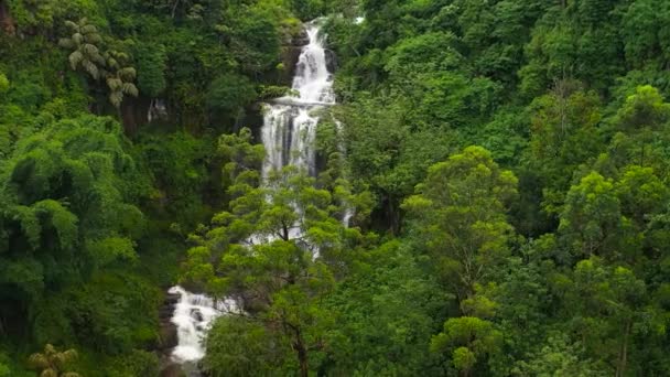 Красивый Водопад Среди Чайных Плантаций Фермерских Домов Маунт Вернон — стоковое видео
