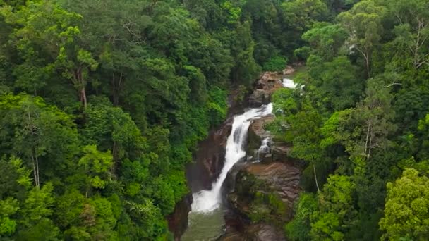 Cachoeira Selva Aberdeen Cai Floresta Tropical Sri Lanka — Vídeo de Stock
