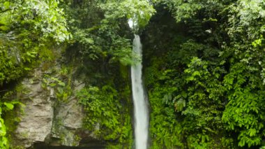 Yeşil ormanda güzel bir şelale. Tropik Tuasan Şelalesi dağ ormanında. Tropikal ormanda şelale. Camiguin, Filipinler, Mindanao