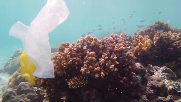 Загрязнение Кораллового Рифа Бытовым Мусором Пластиковым Пакетом Экологическая Проблема Загрязнение — стоковое видео