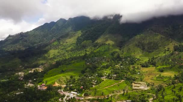 Горные Склоны Тропическими Лесами Горная Долина Сельхозугодиями Шри Ланка — стоковое видео