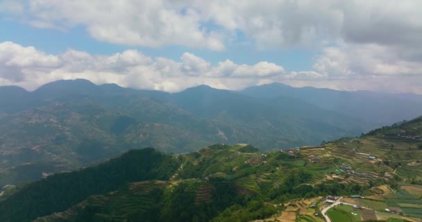 농경지와 라이스 계단식 꼭대기에서 바라본 것이다 필리핀 — 비디오