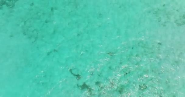 Ovanifrån Turkos Lagunyta Atoll Blå Lagunens Vattenyta — Stockvideo