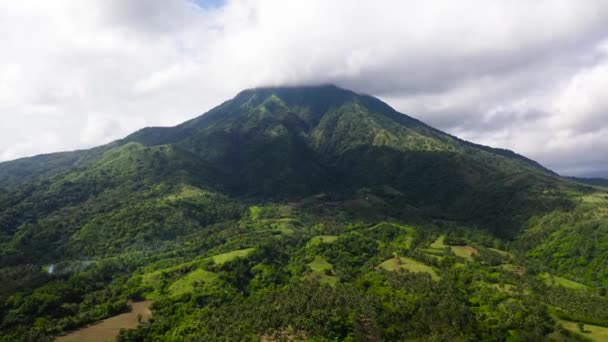 Mount Masaraga Horská Krajina Legaspi Filipíny Vysoká Hora Pokrytá Deštnými — Stock video