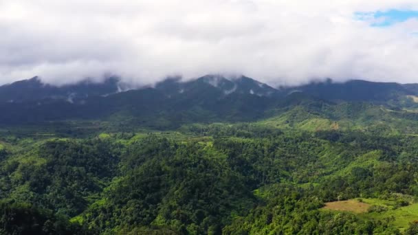 Picos Montanha São Cobertos Com Floresta Tropical Nuvens Selva Nas — Vídeo de Stock