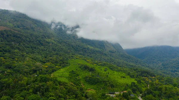 拥有雨林和农民农田的山地斜坡的俯视图 斯里兰卡 — 图库照片