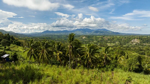ヤシの木を介して山と熱帯の風景の空中ビュー フィリピンのネグロス — ストック写真