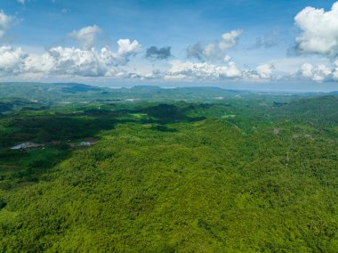 Mountain landscape with mountain peaks covered with forest. Negros, Philippines