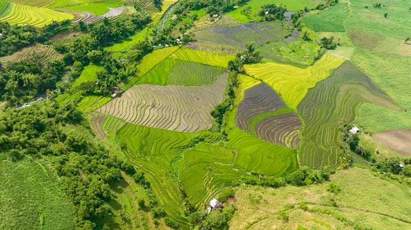 Vista Aérea Terrazas Arroz Tierras Cultivo Campo Negros Filipinas — Foto de Stock