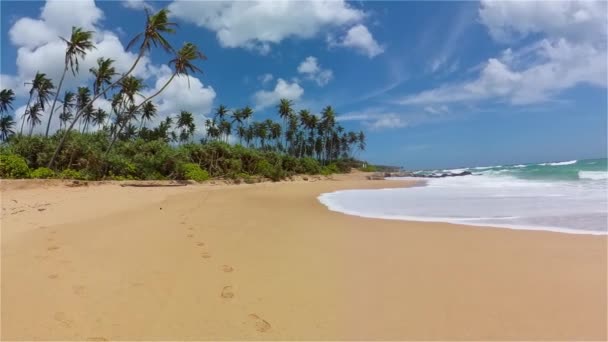 Tropisch Zandstrand Vlakbij Blauwe Zee Sri Lanka Strand Van Rekawa — Stockvideo