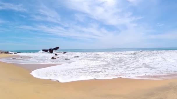 Paesaggio Marino Con Bella Spiaggia Wisky Point Beach Pottuvil Sri — Video Stock