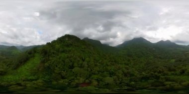 Dağ manzarası: dağ yamaçları yağmur ormanları ve ormanlarla kaplı. Yukarıdan Sri Lanka görünümü, 360VR Video.