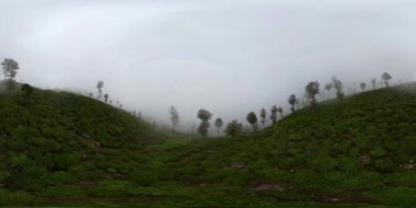 Sri Lanka 'daki yüksek dağ çay çiftliğinin güzel manzarası. 360VR. Sri Lanka 'da çay evi.